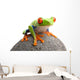 Frog Rock Wall Decal