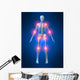 Menschliche Skelett Mit Schmerzpunkten Wall Decal