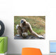Lar Gibbon Wall Decal