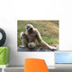 Lar Gibbon Wall Decal