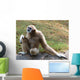 Lar Gibbon Wall Decal