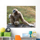 Lar Gibbon Wall Decal