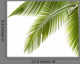 Palm Tree Wall Decal