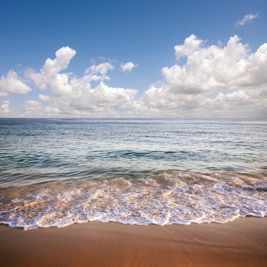 Seascape Wall Decal