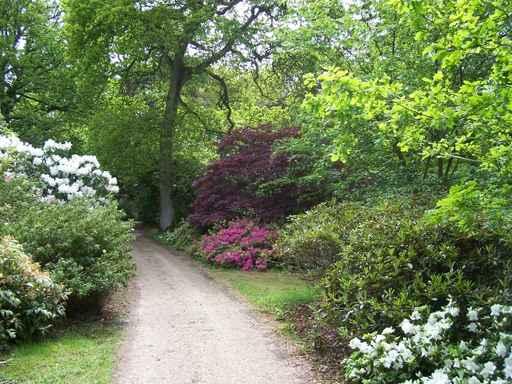 Garden Walk Wall Decal