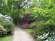 Garden Walk Wall Decal
