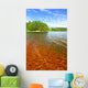 Clear Waters Northwoods Wisconsin Wall Decal