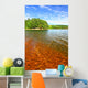 Clear Waters Northwoods Wisconsin Wall Decal
