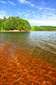 Clear Waters Northwoods Wisconsin Wall Decal