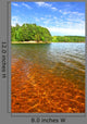 Clear Waters Northwoods Wisconsin Wall Decal