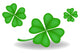 Group of Four-Leaf Clover Shamrocks Illustration Wall Decal