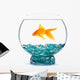 Gold Fish Aquarium Wall Decal