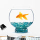 Gold Fish Aquarium Wall Decal