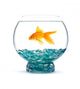 Gold Fish Aquarium Wall Decal
