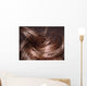 Hair Wall Decal
