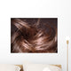 Hair Wall Decal