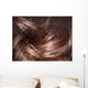 Hair Wall Decal