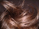 Hair Wall Decal