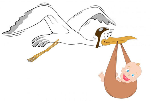 Stork with Baby Wall Decal