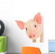 Pig on White Wall Decal