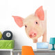Pig on White Wall Decal