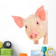 Pig on White Wall Decal