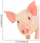 Pig on White Wall Decal