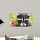 Fleurs Et Raton Wall Decal
