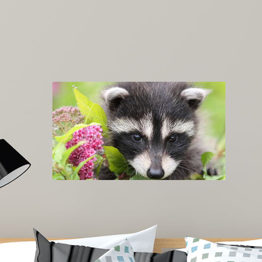 Fleurs Et Raton Wall Decal
