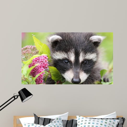 Fleurs Et Raton Wall Decal