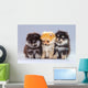 Three Pomeranian Puppies Wall Decal