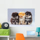 Three Pomeranian Puppies Wall Decal