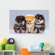 Three Pomeranian Puppies Wall Decal