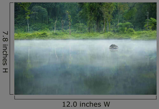Misty Morning Landscape Wall Decal