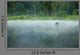 Misty Morning Landscape Wall Decal