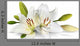 Easter Lily Flowers White Wall Decal