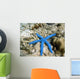 Blue Starfish Wall Decal