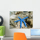 Blue Starfish Wall Decal