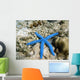 Blue Starfish Wall Decal