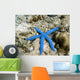 Blue Starfish Wall Decal