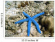 Blue Starfish Wall Decal