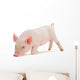 Snuffling Pig Wall Decal