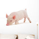 Snuffling Pig Wall Decal
