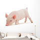 Snuffling Pig Wall Decal