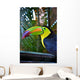 Colorful Toucan Bird Mexico Wall Decal