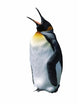 Chick Emperor Penguin Wall Decal