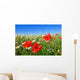 Field Red Poppy and Wall Decal