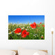 Field Red Poppy and Wall Decal