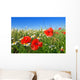 Field Red Poppy and Wall Decal