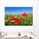 Field Red Poppy and Wall Decal